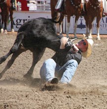 Lee Graves of Black Diamond pulls down a steer in 4.2 seconds during the first go-round of Showdown Sunday on July 17 at the Calgary Stampede. He needed a time of 4.1 to