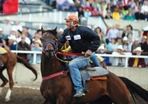 Blackie outrider Chad Cosgrave, here at the 2010 Calgary Stampede, won his second World Professional Chuckwagon Association outriding title on Sunday in Drumheller.