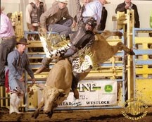 Jordan Hanson of Okotoks rides a bull at the Westerose Rodeo in 2009. Hanson finished atop the Foothills Cowboy Association bull riding standings in 2011.