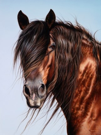 Shannon Lawlor&#8217;s &#8220;Casey&#8221; placed first in an international equine art competition.