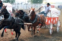 Colt Cosgrave races around the track at the 2011 North American Chuckwagon Championship last June. Sponsors will receive a bigger bang for their buck in 2012 as a day has