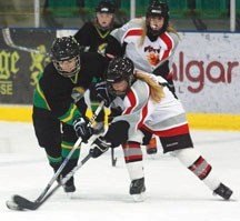 An Okotoks Peewee Oiler fights for the puck during the Okotoks Female Hockey Classic in November.