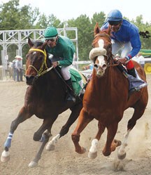 Saratoga&#8217;s Magic (middle) owned by Jacqueline Smith and ridden by jockey Blandford Stewart leads the pack at the 2011 Millarville Derby on July 1, 2011.