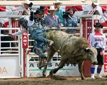 Black Diamond bull rider Tyler Thomson was bucked off on a re-ride at the Calgary Stampede on Wild Card Saturday, July 14. Thomson called his performance at the 2012 Stampede 