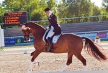 DeWinton raised Pia Fortmuller and her horse Orion are on the reserve squad for the Canadian dressage team at the London 2012 Summer Olympic Games.