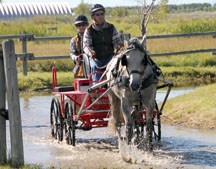 Groom Deb Smith and driver Richard Cooper make their way through a water obstacle during the marathon at the combined driving event last year. The High Country Carriage