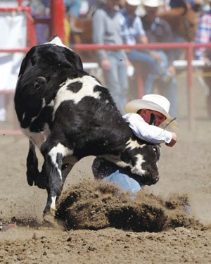 Okotokian Coleman Kohorst pulls down a steer at the Ponoka rodeo. Kohorst will compete in his first Canadian Finals Rodeo Nov. 7-11.