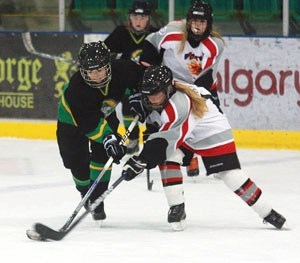 The fifth annual Okotoks Female Hockey Tournament will feature 34 teams from Western Canada, including nine teams from the Okotoks Minor Hockey Association, in an eight