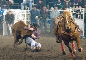 Okotoks steer wrestler Coleman Kohorst pulls down a steer at the Canadian Finals Rodeo last week in Edmonton&#8217;s Rexall Place.