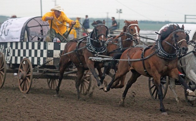 Jason Glass comes down the stretch during the Guy Weadick Chuckwagon Races in High River last year. Glass&#8217; s tarp went for $129,500 at the World Professional Chuckwagon 