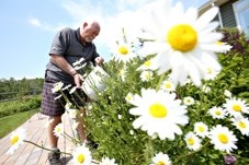 Turner Valley resident John Waring uses left over water from his shower to water the flowers in his yard. The Town implemented penalties in its water conservation bylaw to
