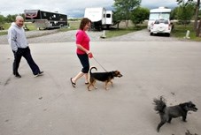 A woman walks her dog while camping in the Bob Lochhead Memorial Park in Black Diamond last week. A committee was formed to come up with a design for the northern part of the 