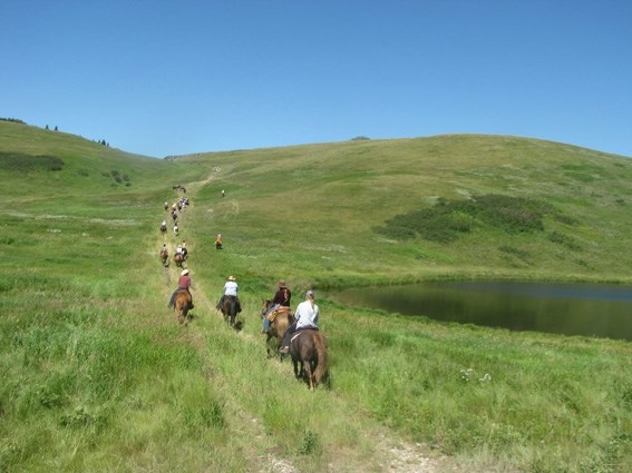 The Bar U Ranch Trail Ride, as seen here in 2012, is a great opportunity learn about the history of grazing lands, the types of grasses in the area south of Longview, and