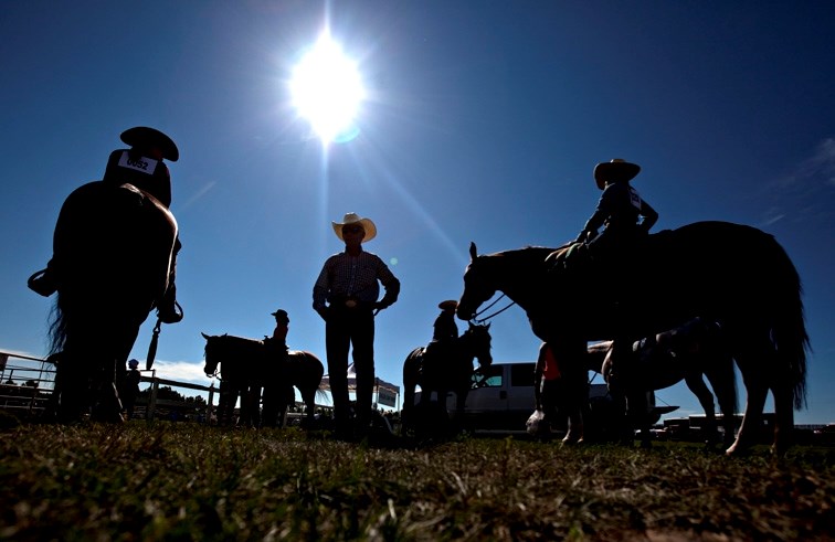 Contestants gather in a horse-judging competition at last year&#8217; s Priddis &#038; Millarville Fair. This year&#8217; s old-fashioned competitions and festivities take