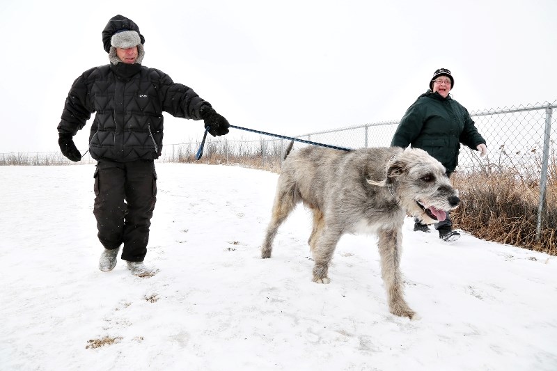 Tony and Michele Geistlinger, chairperson of the ARC Society, walk their dog on the west side of Longview where the society is proposing construction of a kilometre-long
