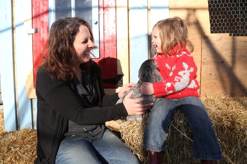Berri-Lynn Lebert and daughter Hudson hold one of their chickens. The Lebert family signed on to the urban chicken pilot project last fall and has been enjoying the fresh