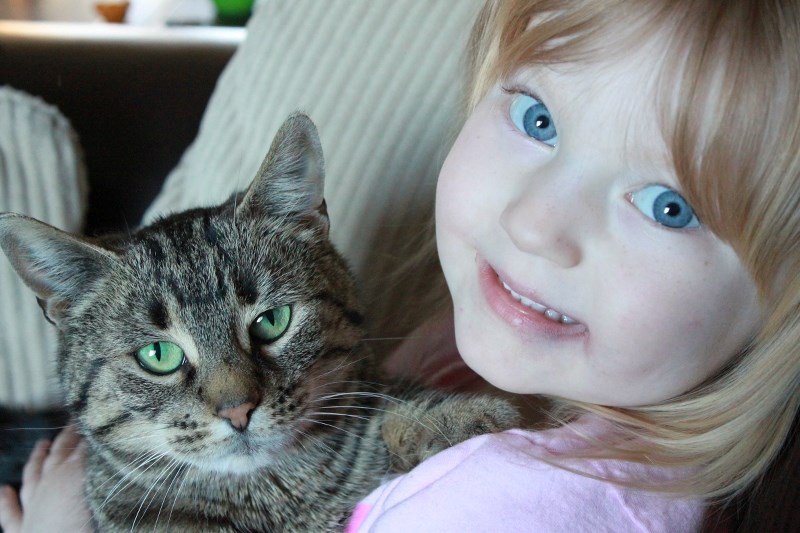 Three-year-old Bailey Bruinsma snuggles with Marbles, her family&#8217; s second foster kitty, which later found a home on an acreage near Water Valley. The High Country SPCA 