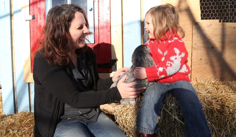 Berri-Lynn Levert, with daughter Hudson, participated in Black Diamond&#8217; s backyard hen pilot project during the last year. Black Diamond Town council recently approved