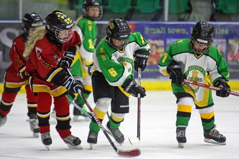 Okotoks&#8217; passion for all levels of hockey is being touted as Okotoks is one of the communities up for Kraft Hockeyville 2016.
