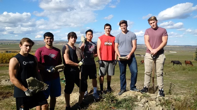 Seven members of the Foothills Falcons football team picked rocks and clean fields at a spread south of Okotoks to raise $1,000 for the Foothills Country Hospice on Sept. 24. 