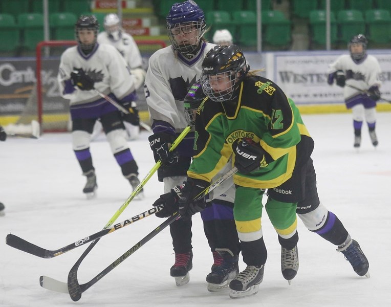 Okotoks Peewee A Oilers forward Emma Glabus gets in front of a pair of Edmonton Warriors during the gold medal game of the Okotoks Female Hockey Classic, Nov. 12 at Pason