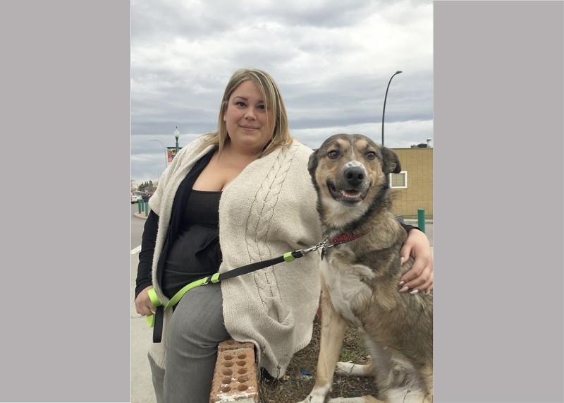 Kelly Cerato with Kitchi, one of two dogs shot with arrows on the Eden Valley Reserve in April. He is still up for adoption and is a great dog for a family with kids, but not 