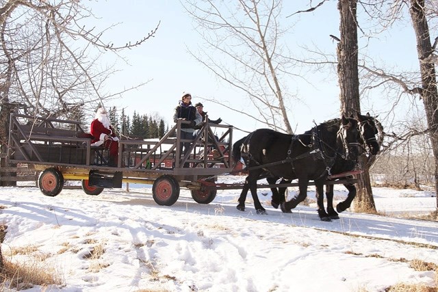 Santa Claus exchanges reindeer for a team of percheron horses during the Christmas party at the Bar U Ranch in 2014. This year&#8217; s Christmas in the Country takes place