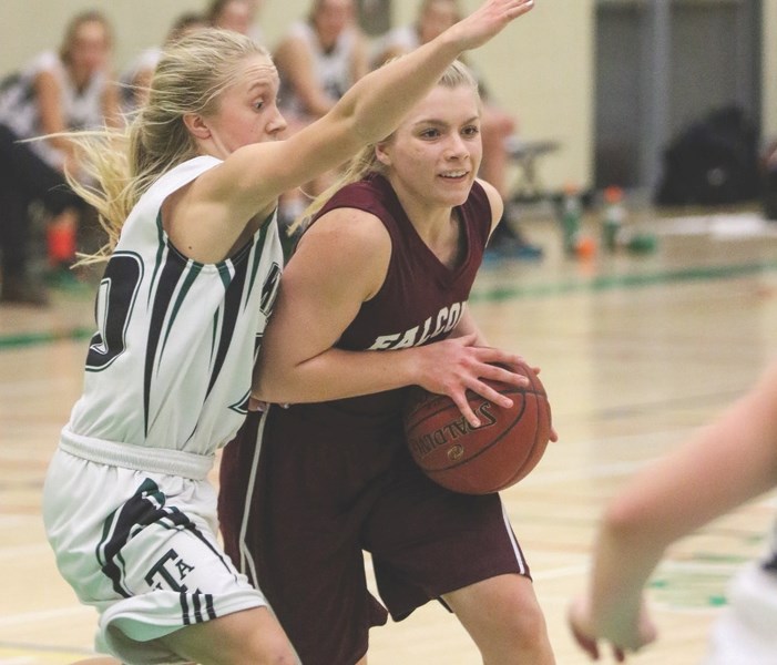 Point guard Hannah Helton led the Foothills Falcons with 27 points in their gold medal game triumph over Lindsay Thurber at the SAIT high school basketball tournament.