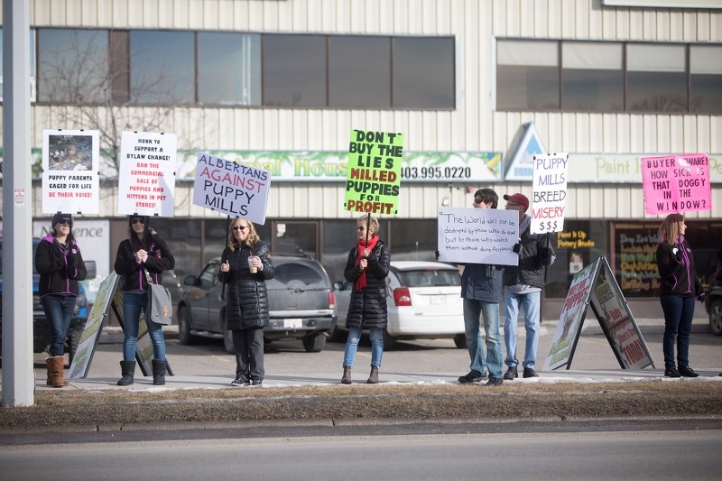 Demonstrators at a protest outside Okotoks Animal House are calling for bylaw changes to ban the sale of dogs and cats in commercial businesses in town.