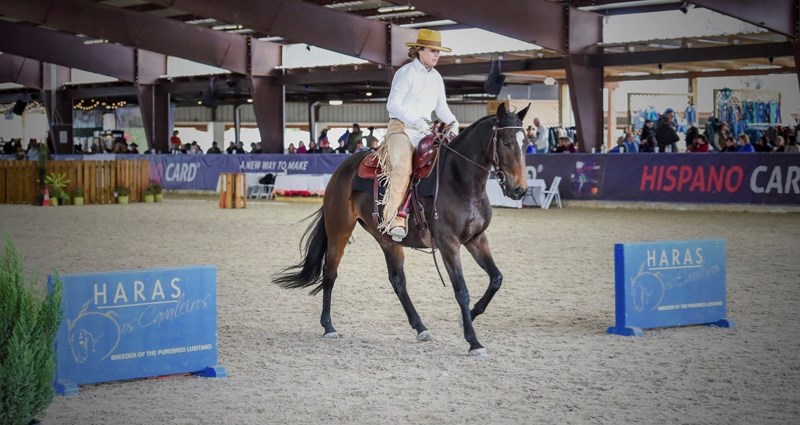 Jacquie McArthur and Yahoo Casino Royalle go through the course at the Haras Cup in Magnolia, Texas. McArthur won the Novice A Amateur championship at the event.