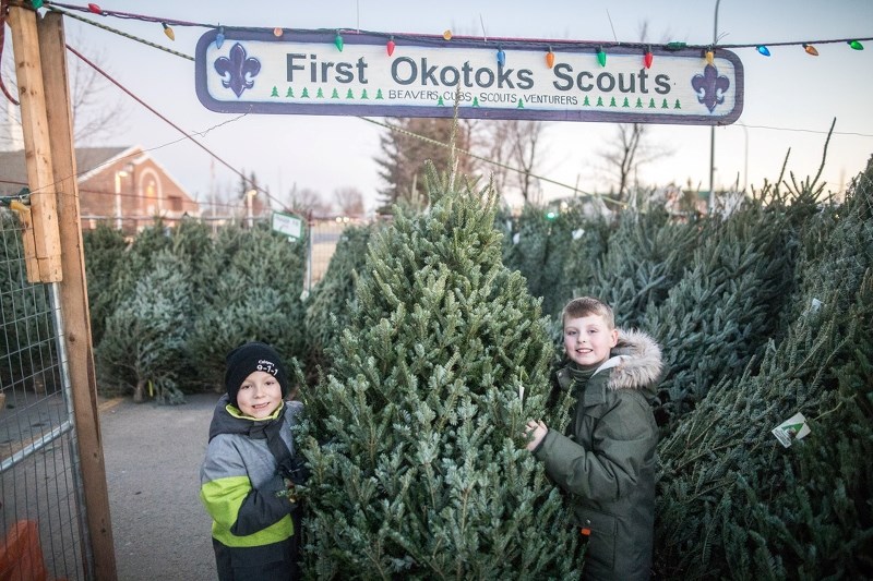 First Okotoks Scout group Cubs Tristan Decker, left and Lucas Adams tout a Christmas tree at the scout group&#8217;s tree lot at Safeway on Dec. 8.