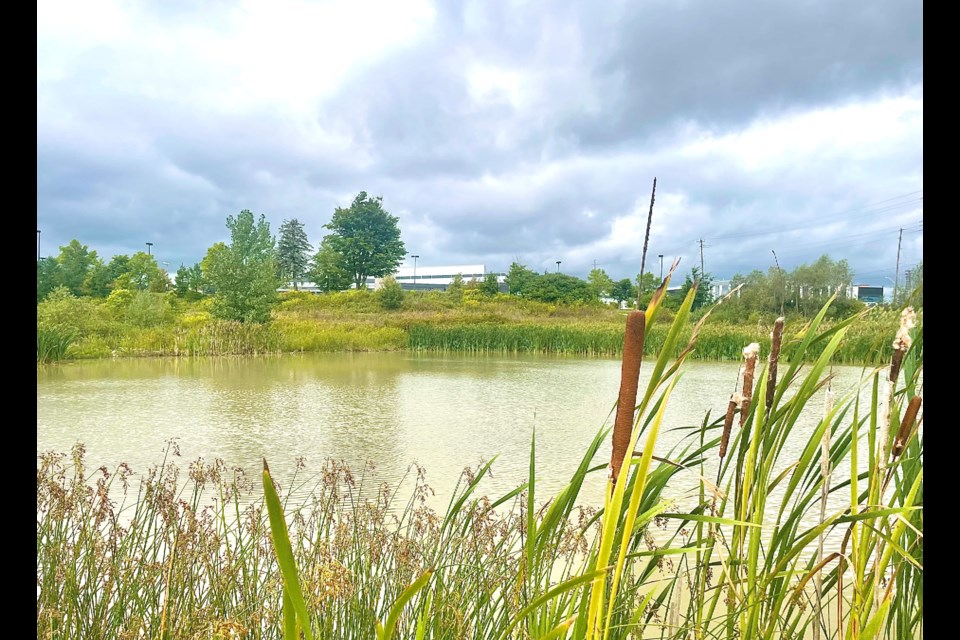 The stormwater pond, near the West Orillia Sports Complex, is one of the planned sites for seven public art installations over the next year.