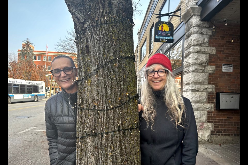 'Lit Happens' Orillia tree debacle turned into charity campaign