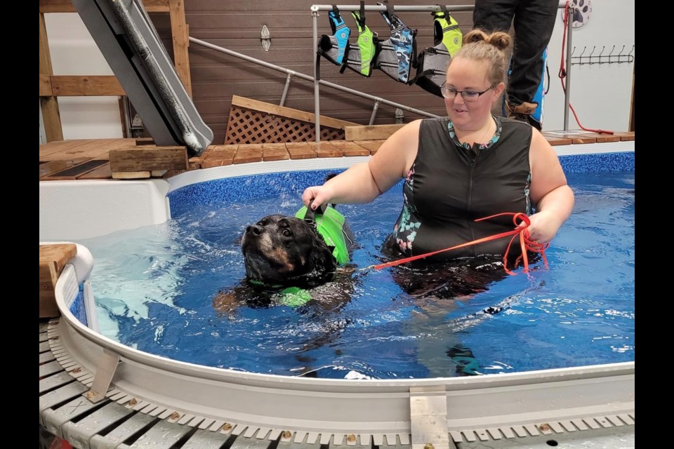 Puddle Paws Hydrotherapy is a new local business that uses swimming to help dogs get the exercise they need, whether they're suffering from arthritis and injury or simply have excess energy.