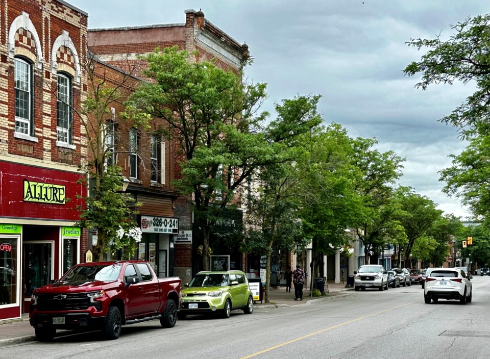 2024-06-21-downtowntrees