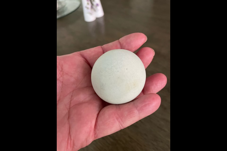 Holly Brown found a very rare, round egg recently - just outside her chicken coop dubbed the Wash Eggo Inn. The Washago woman has had backyard chickens for three years.