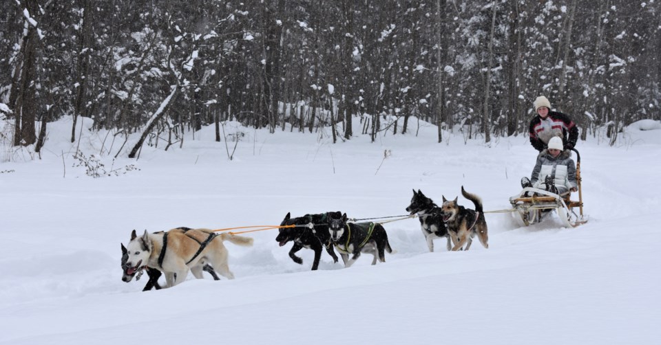 2018-02-09 dog sledding,jpg