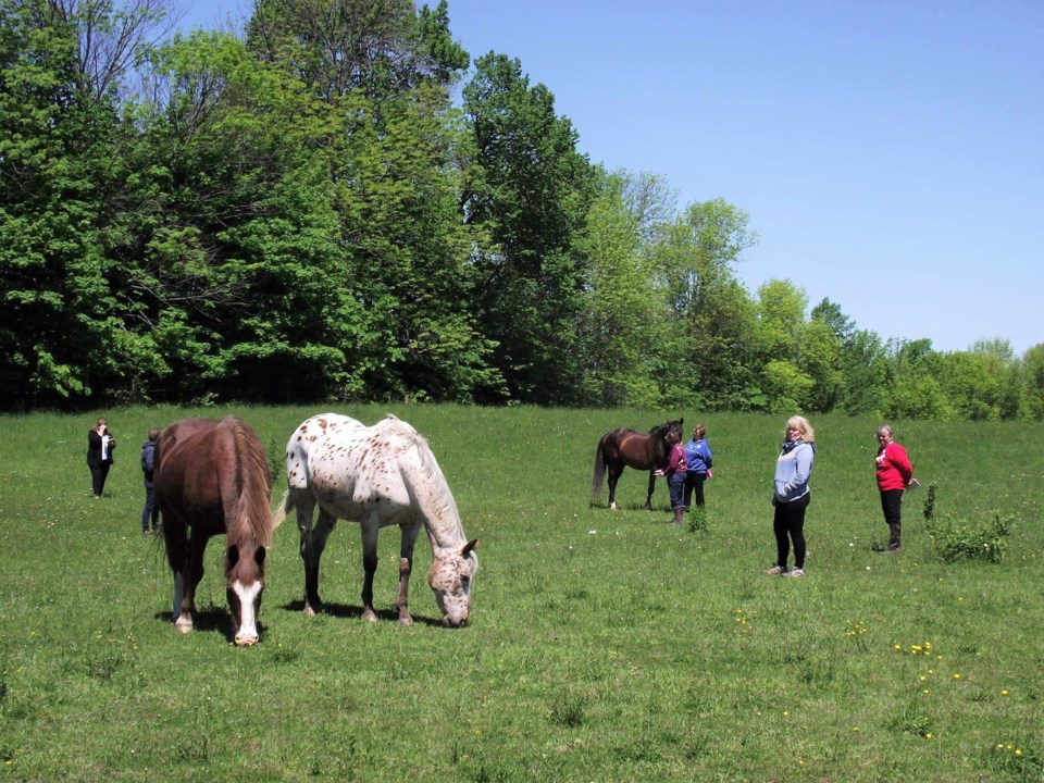 Free 'healing' retreats being offered to local frontline workers