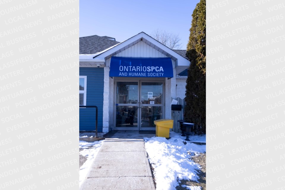 Renovations at the Orillia Animal Centre are complete.