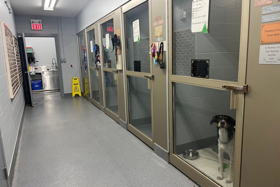 The Ontario SPCA Orillia Animal Centre is hosting an open house on May 4 after rennovations to the facility.