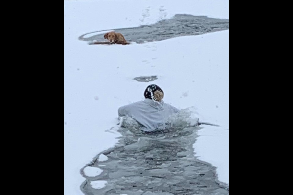 Rachel Edwards feels lucky to be alive after going into the frigid waters of Bass Lake to rescue her golden retriever, Mia, Sunday.