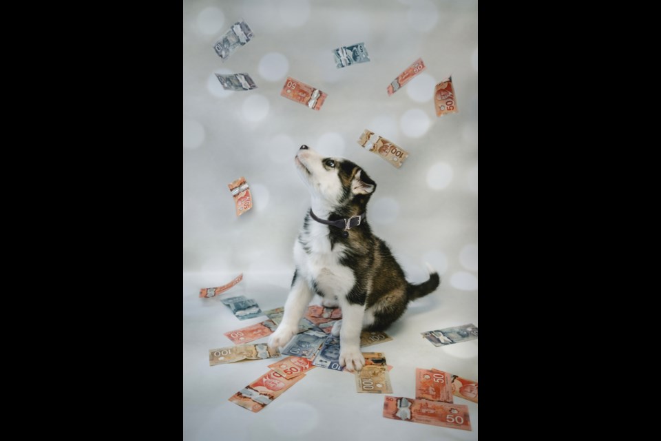 The jackpot for the Ontario SPCA’s Draws for Paws 50/50 Lottery is approaching $60,000. Tickets are still available for the April 28 draw.