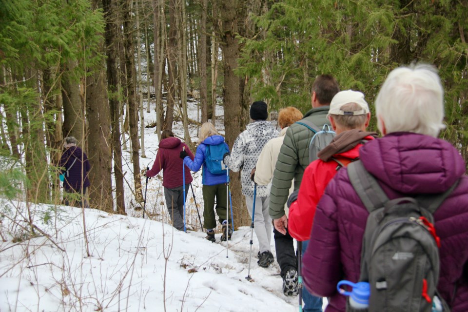 Members of the Orillia branch of the Ganaraska Hiking Trail club set out on an 'easy' 10-kilometre hike in Oro-Medonte.