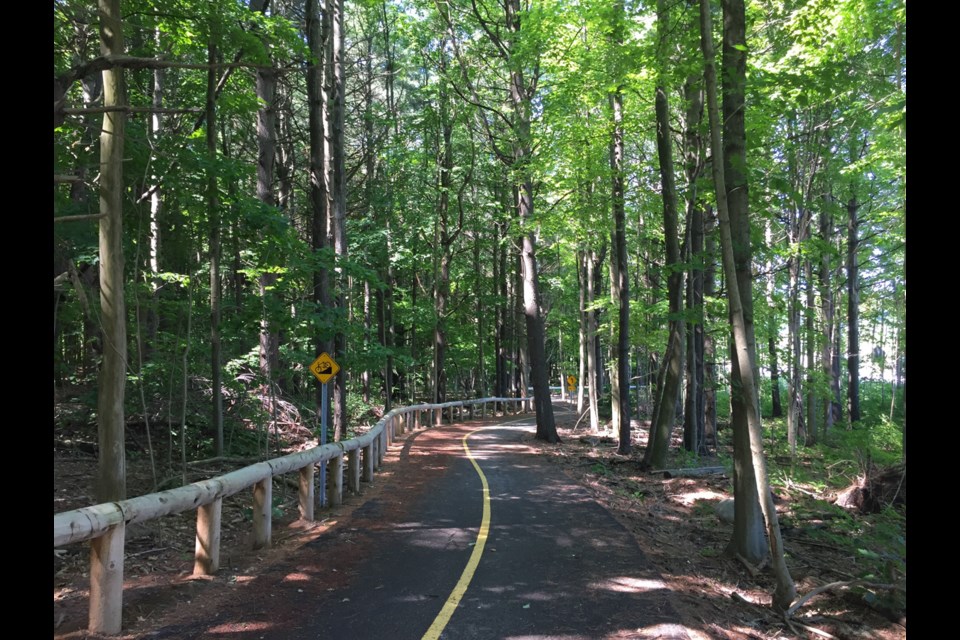 eaving Orillia via the trail along Old Barrie Road and Scout Valley, this multi-use trail is (thankfully!) a safe way to bypass the bridge over Hwy 11. Kathy Hunt/OrilliaMatters