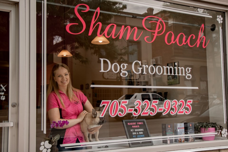 ShamPooch Dog Grooming tripled its business within six months of moving to their Downtown Orillia location. Owner Dianne Wall is shown inside her Peter Street location.