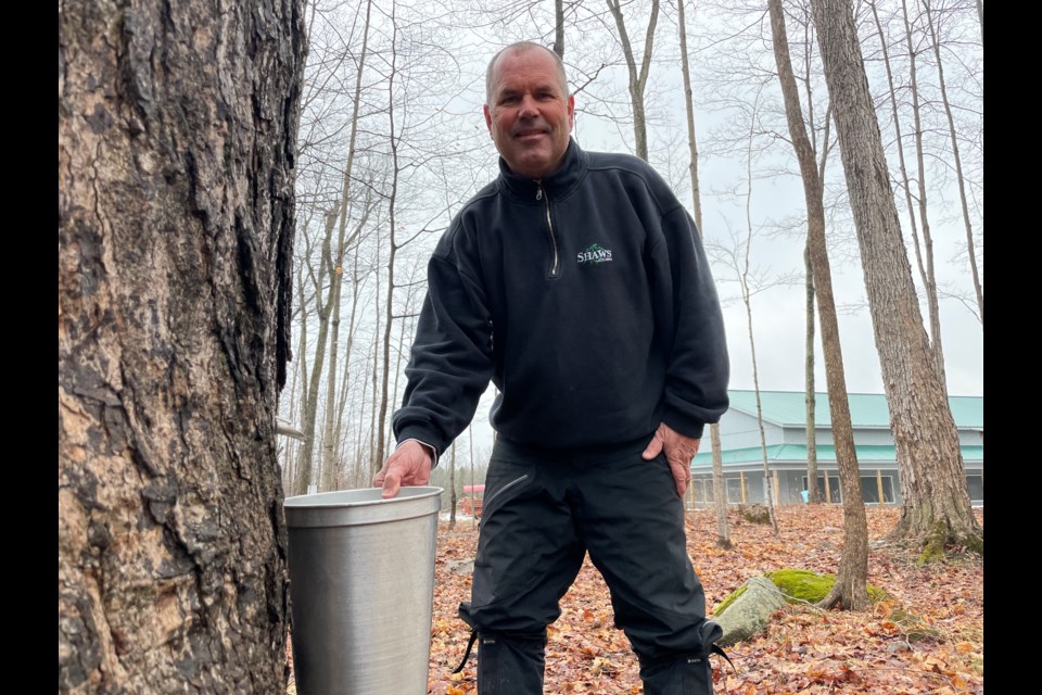 Shaws Maple Syrup has been in business for almost 120 years. This year marks the earliest that owner Tom Shaw has been tapping trees. 
