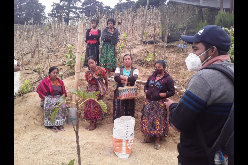Paso Por Paso is continuing its support of Mayan families in Guatemala.