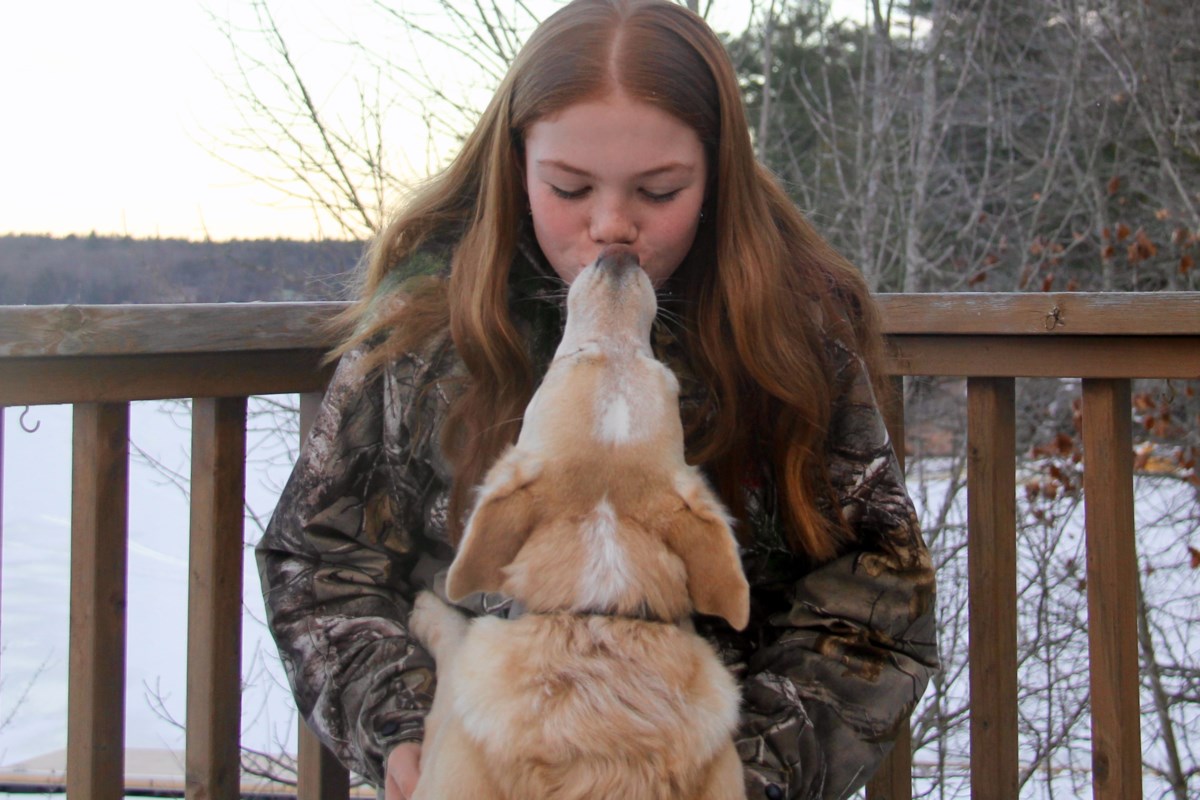 Nearby canine lover donates 12th birthday income to animal shelter