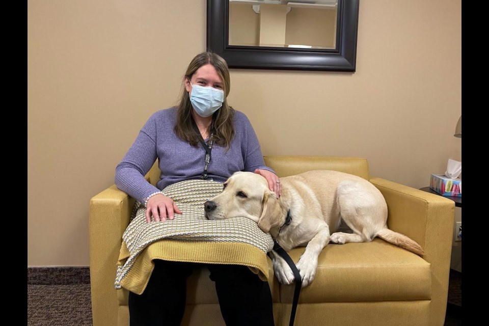 Stefanie Collins, Visiting Hospice Coordinator, meets the newest staff member at Hospice Orillia. Trooper helps with the Volunteer Visitors and Bereavement Services programs as a facilities dog. Contributed photo.