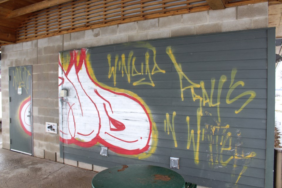 2020-01-03 Tudhope Park graffiti